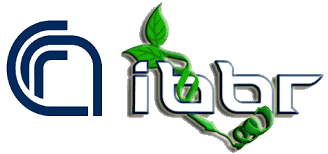 IBBR logo